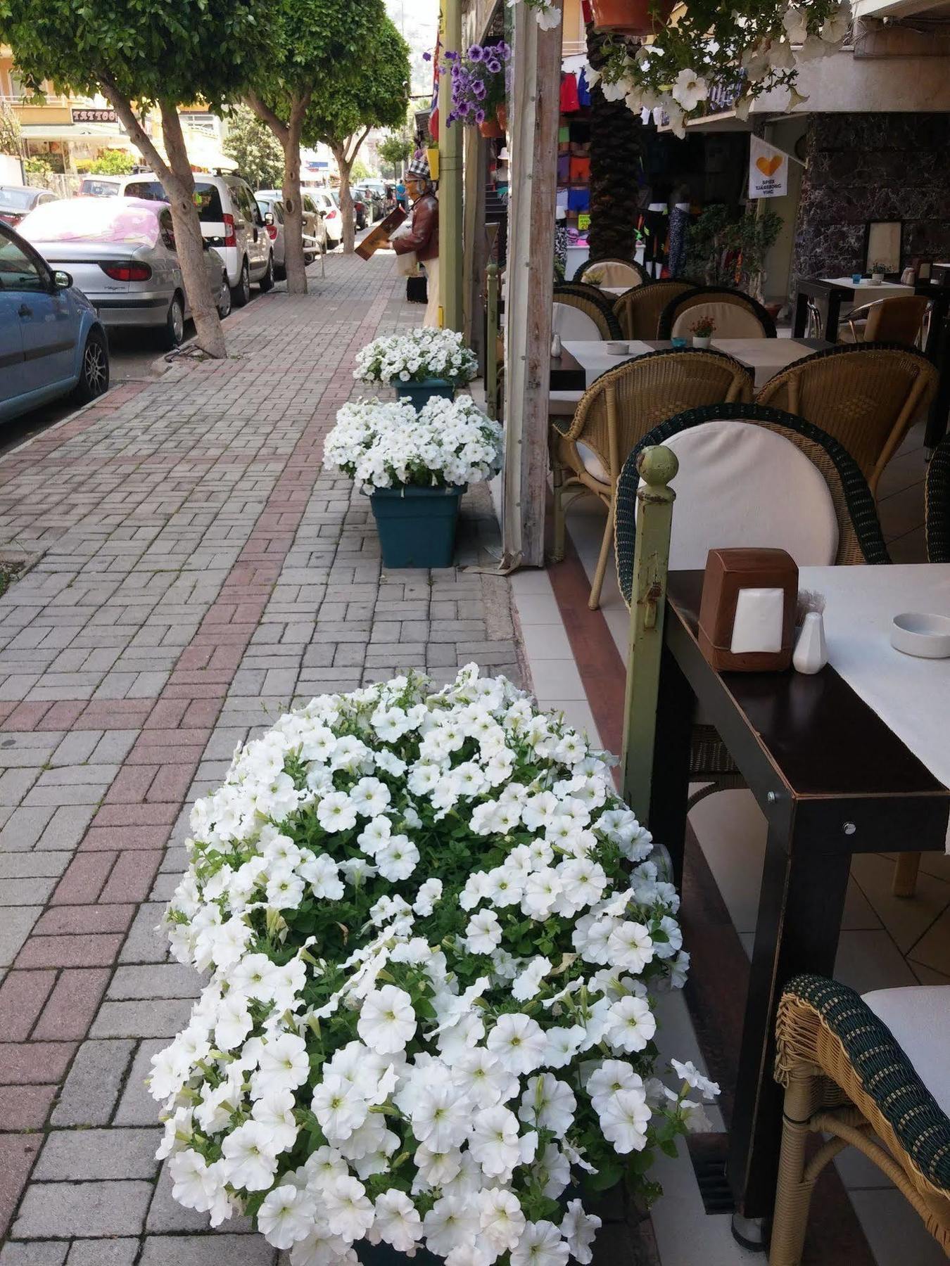 Ada-1 Apart Hotel Alanya